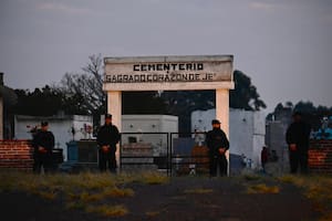 Un georadar y el olfato de los perros llevó a los investigadores a una parcela de un cementerio