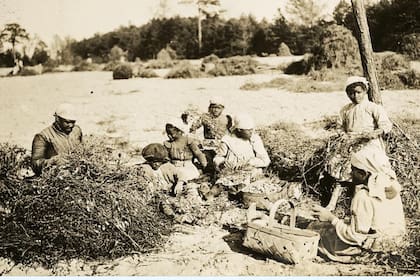 Personas esclavizadas en la época en la que Harriet Jacobs nació