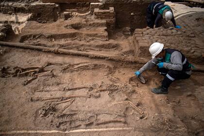 Los arqueólogos trabajan cuidadosamente para desenterrar los restos óseos