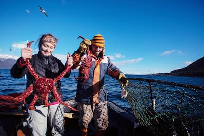 Pesca artesanal de centolla en Puerto Almanza, Tierra del Fuego