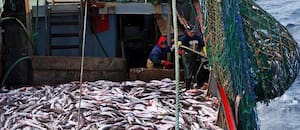 Mientras espera la eliminación de las retenciones, la industria pesquera apuesta al acuerdo Mercosur-UE