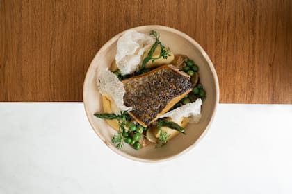 Pesca del día, puré de chirivía y salsa de uva blanca