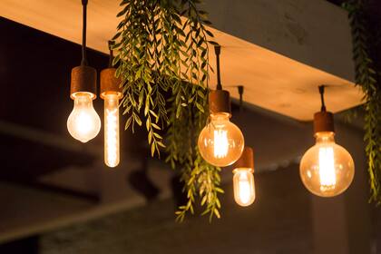Pescados del día poco comunes en una parrilla: trucha patagónica, atún rojo del Pacífico, pacú y salmón (380 a 720)