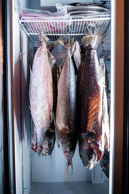 Pescados enteros, frescos y madurados, son parte de la propuesta de cocina