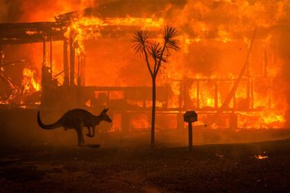 Pese a los incendios que azotaron Australia, el primer Grand Slam del año pudo disputarse hasta el final.
