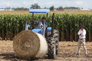 Agronegocios: qué dicen los inversores sobre la Argentina