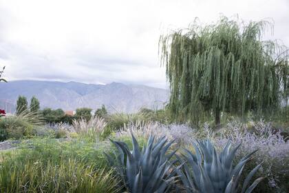 Pese a que el lugar presenta algunas condiciones adversas para un jardín, la ventaja es que el agua es abundante por debajo de la tierra y de muy buena calidad, como lo indica el origen del nombre Cafayate: “cajón de agua” o “gran lago”.
