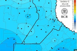 El trigo se salvó del frío y se encamina para hacer historia