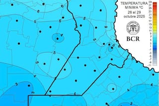 El trigo se salvó del frío y se encamina para hacer historia