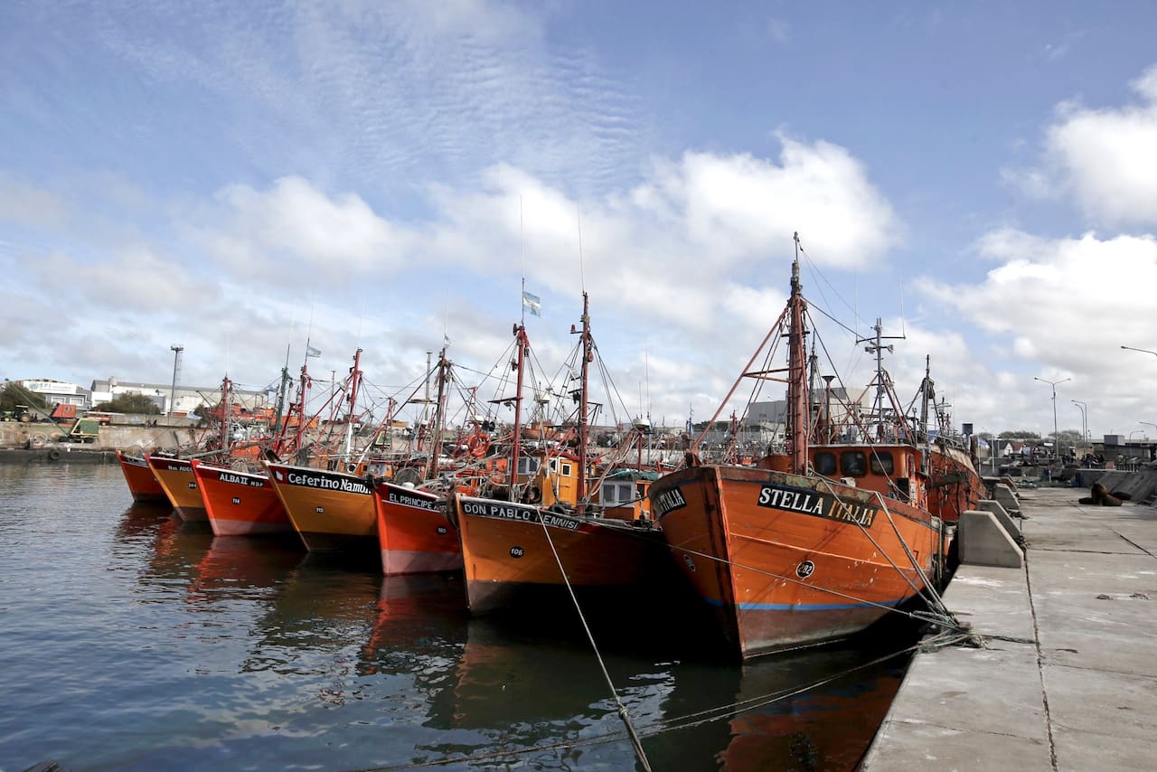 La paradoja de la pesca: en Mar del Plata, más producción pero menos trabajo - LA NACION