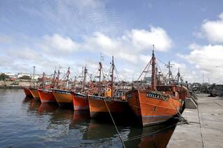 La paradoja de la pesca: en Mar del Plata, más producción pero menos trabajo