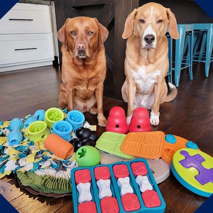 Petco cerrará tiendas en Arizona, California, Washington D.C. y otros ocho estados (X/@Petco)