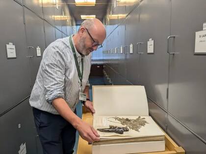 Peter Wilkie con un ejemplar que hizo de la floración de New Reekie en 2015 en el herbario RBGE, que alberga unos tres millones de ejemplares