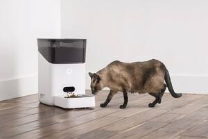 PetNet, un dispenser de alimento balanceado que calcula las porciones justas
