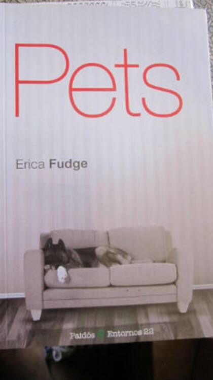 Pets, un canto a las mascotas