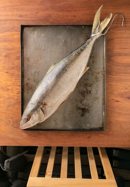 Pez limón, así, entero, a la fuente de cocción.