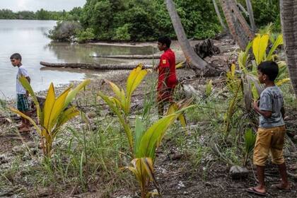 Philpot espera que los niños y jóvenes de Maldivas, que casi nunca tienen oportunidad de bucear, se interesen más por su entorno