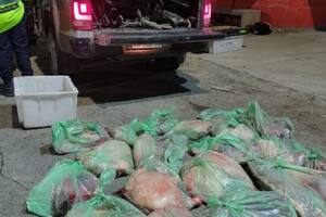 Picaban carne de toro en un comercio de Roca y los sorprendieron los inspectores de Ganadería