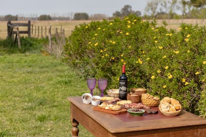 Picada campera en un rincón de la estancia.