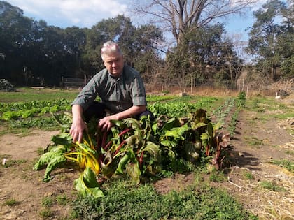 Picchi en la huerta: "Los domingos, algunos comensales que son los más habitués del negocio, pasan al fondo y eligen la verdura que quieren"