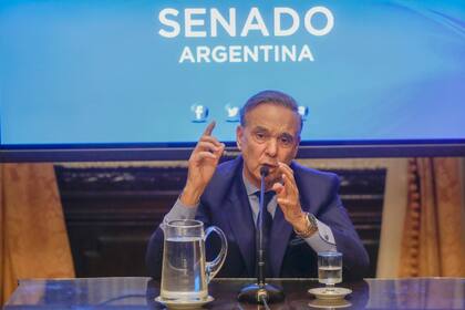 Pichetto durante la conferencia en el Senado de la Nación