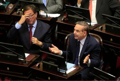 Pichetto en acción en el Congreso