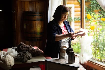 Pichona (Leonilda Chamorro) es la esposa de Osvaldo Lagos, y la madre de Lucas.