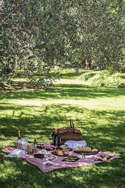 Picnic en los jardines de Casa del Visitante.