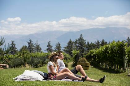 Picnic entre las viñas y con vista al Cordón del Plata.