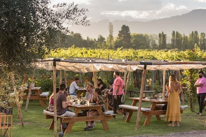 Picnic y atardecer en el viñedo de Kaiken Wines, el escenario ideal de Ramos Generales.
