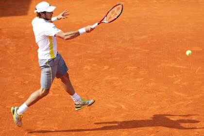 Pico en acción en Montecarlo