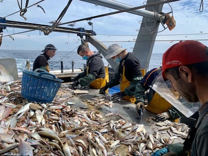 Piden que se reconozca “el compromiso y la pasión del hombre de mar”