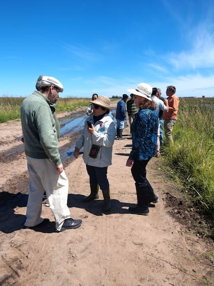 Piden una solución urgente al problema