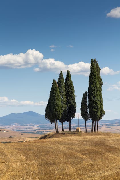 Pienza