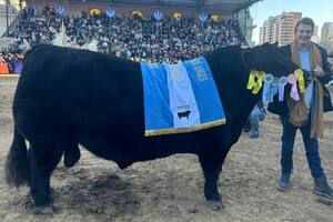Pieter Jan De Nul con Centenario en la Exposición Rural de Palermo