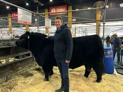 Pieter Jan De Nul con Centenario, que lo volvieron a traer. En 2022, en su debut en la exposición de los 100 años de la raza salió Campeón ternero menor y Reservado de Gran Campeón de toda la muestra
