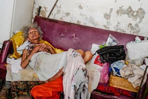 La epidemia de enfermedades virales transmitidas por mosquitos que enfrenta Cuba