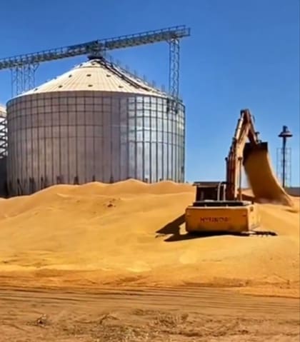 Pilas de maíz a la intemperie y sin lugar en los silos