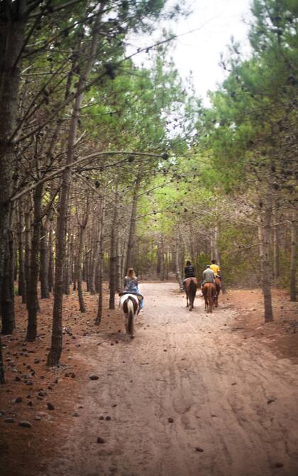 Pinamar