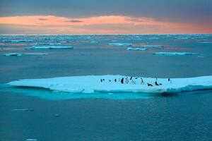 Día 2: Javier Bardem ya se sumó a la expedición antártica de Greenpeace