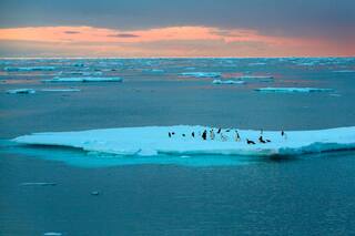 Día 2: Javier Bardem ya se sumó a la expedición antártica de Greenpeace