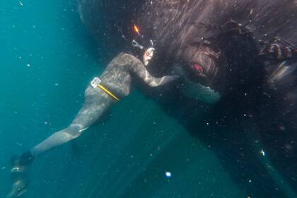 Pinino Orri, capitán ballenero, ayudó a amarrar una ballena y llevarla a la costa para su estudio, en Puerto Pirámides