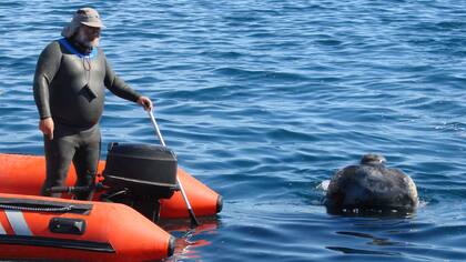 Pinino Orri, uno de los pioneros. Gentileza Patagonia Digital