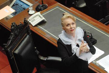 Pinky dedicó años de su madurez a la tarea legislativa
