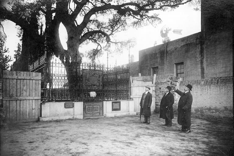 .Pino de San Lorenzo