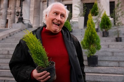 Usó su apodo en la fórmula "Pino se planta" para los afiches de la vía pública. Antes, había usado una consigna parecida: "Plantá un pino en el Congreso"