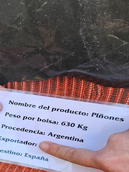 Piñones listos para partir hacia España