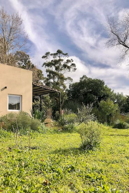 Pinos, aguaribay y acacias. Los árboles del terreno fueron parte de lo que los enamoró.