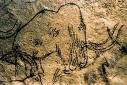 Pintura rupestre con el dibujo de un mamut hallada en Francia
