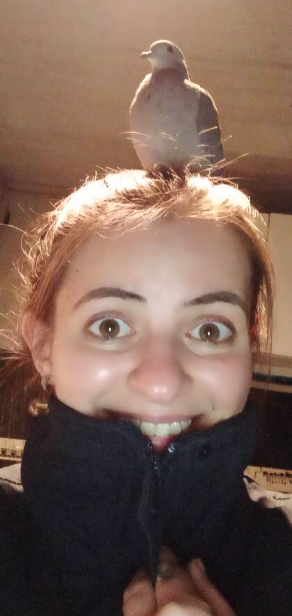 Pío mira series con Valeria. Le llama la atención el movimiento de la pantalla y la suele picotear.